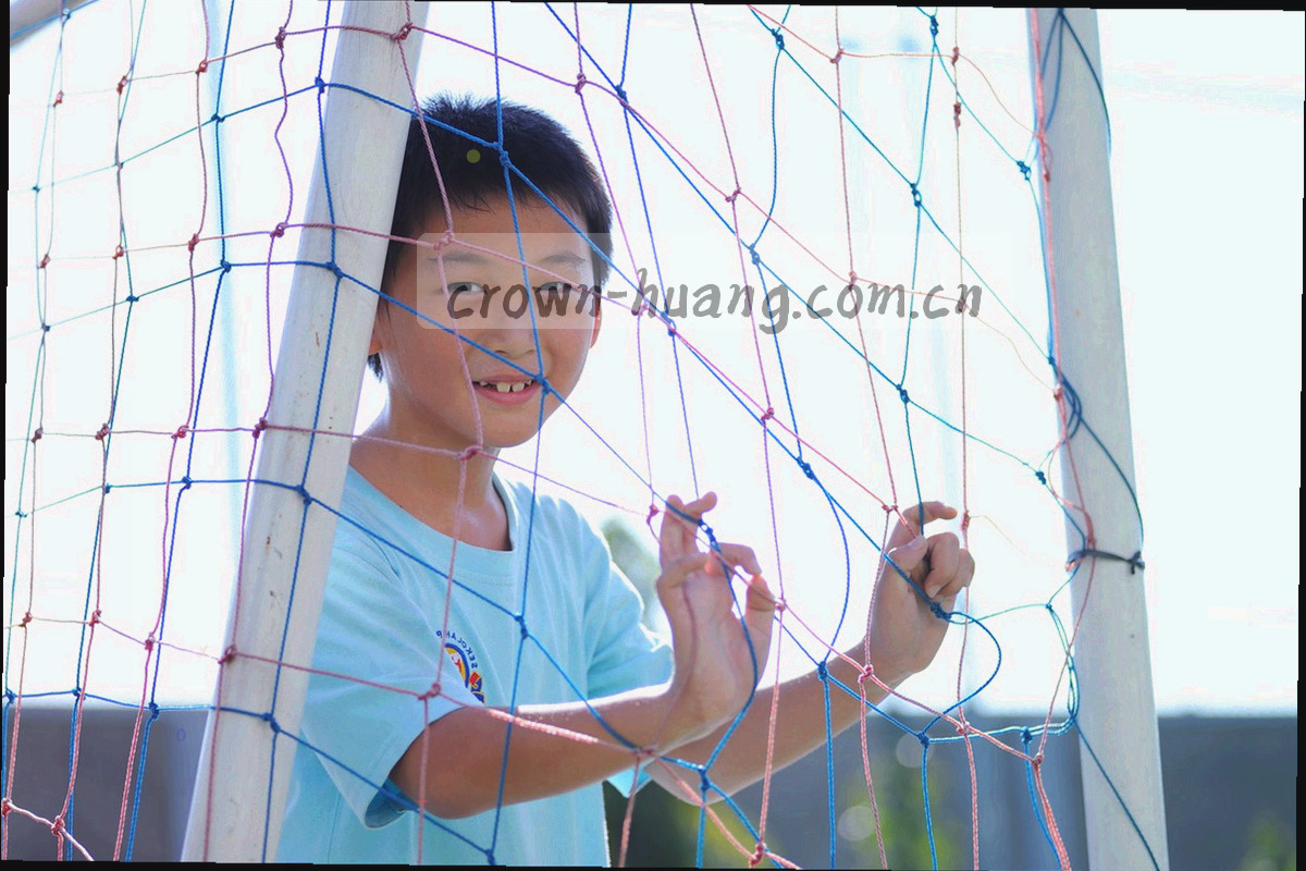 十个圆形标签围绕案例卡片排布的标签云抽象图